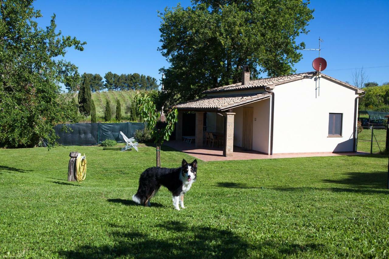 Вилла Casa Marta Питильяно Номер фото